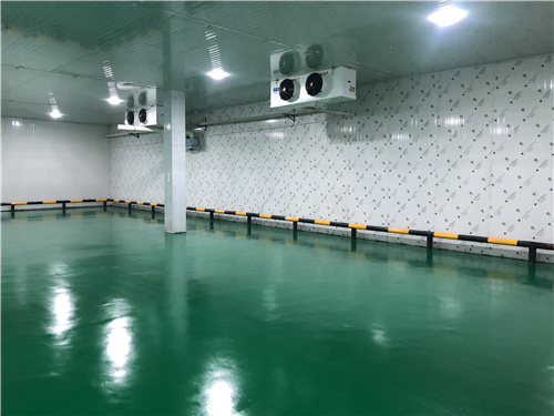 爱游戏官方网站 - 爱游戏aiyouxi(中国)
蔬菜保鲜库